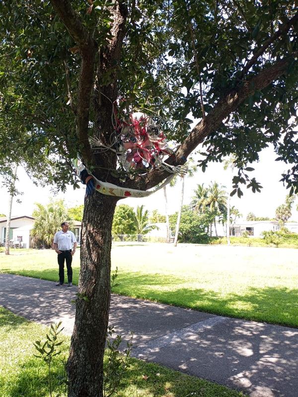 Tree Art Event